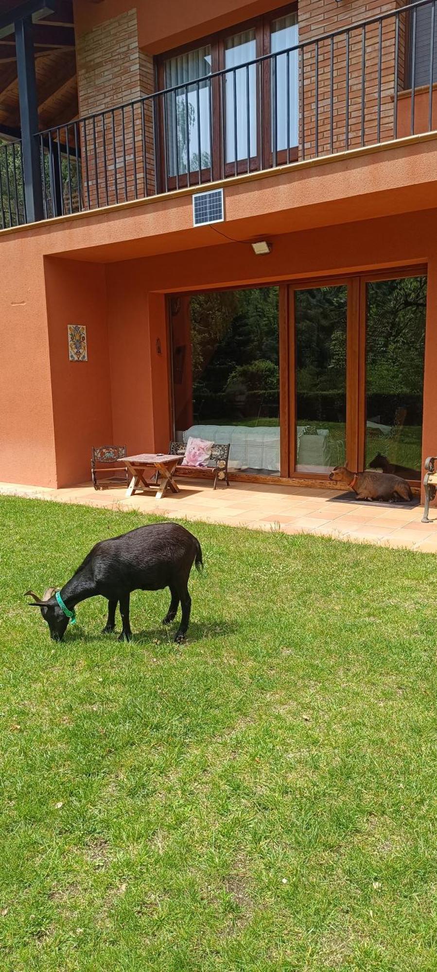 Ca La Montse Villa Viladrau Ngoại thất bức ảnh