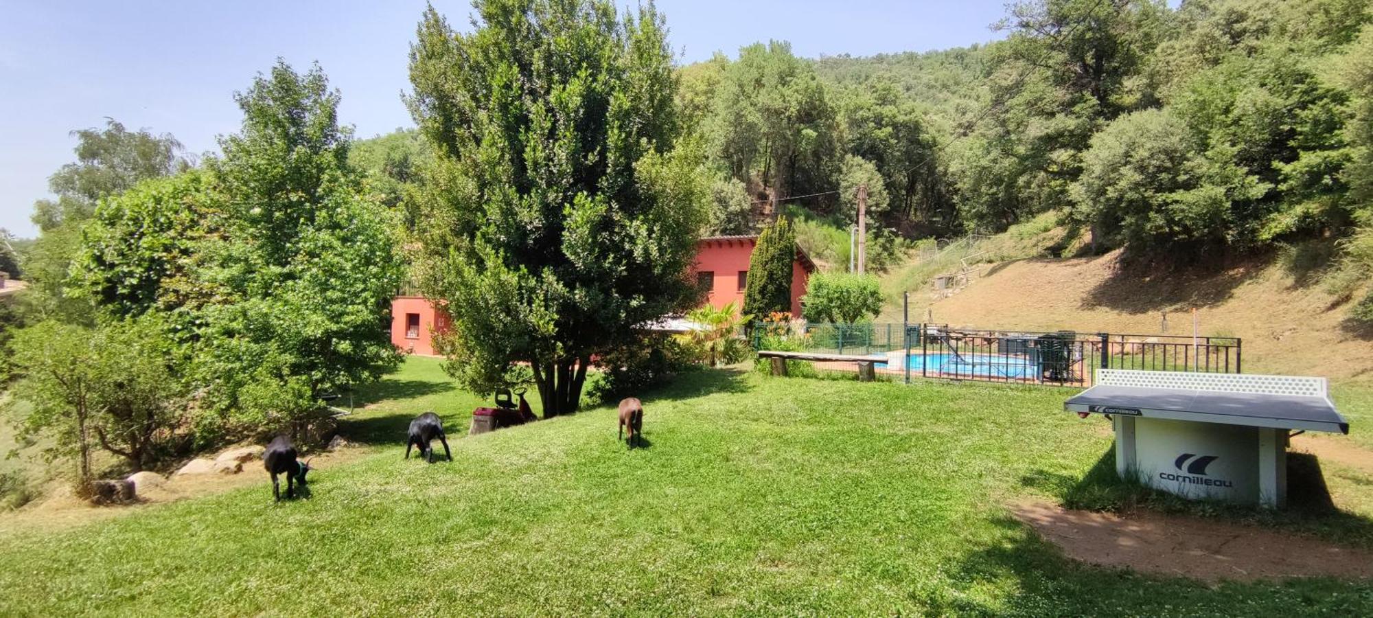 Ca La Montse Villa Viladrau Ngoại thất bức ảnh